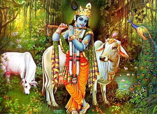 Names of Lord Krishna